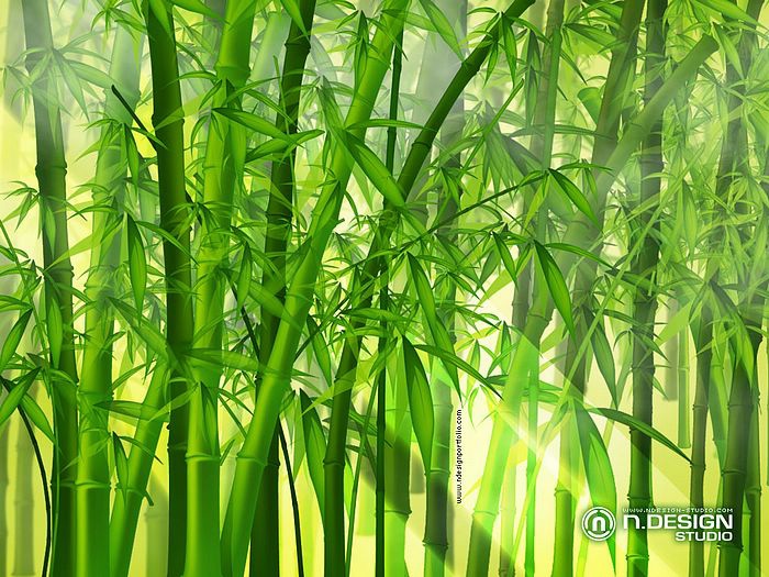 Vector_Art_Vector_Illustration_bamboo