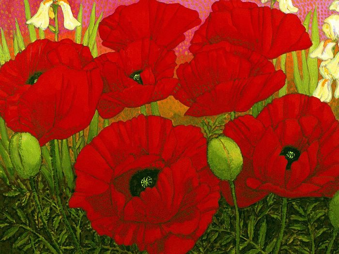 Poppies & White Irises John Newcomb 1991