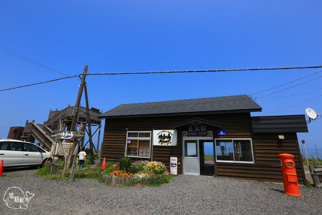 14 日文不通之北海道道東租車自駕夏の旅day2 上 網走感動朝市 網走海鮮市場 北浜車站 濤沸湖白鳥公園 濤沸湖水鳥 湿地センター 小清水原生花園 雙美瀑布 オシンコシンの滝 國道334號宇登呂休息站 道の駅うとろ シリエトク 小豬騎鯨魚