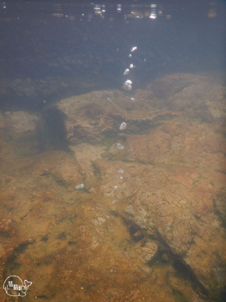 14 日文不通之北海道道東租車自駕夏の旅day4 知床橫斷道路 知床峠 熊の湯 セセキ 瀨石 温泉 羅臼道の駅 知床 食堂 ラ レトリ牧場 開陽台 ミルクロード 14 日文不通之北海道道東租車自駕夏の旅day4 知床橫斷道路 知床峠 熊の湯 セセキ 瀨石 温泉 羅臼道の駅 知床 食堂 ラ レトリ牧場 開陽台 ミルクロード