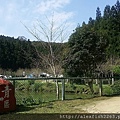 20160326.27苗栗南庄高山青_3808.jpg