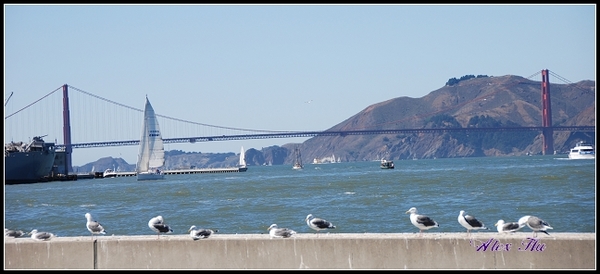 Golden Gate Bridge