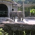 200412動物園