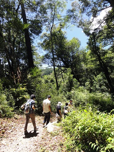 很深山裡的路.JPG