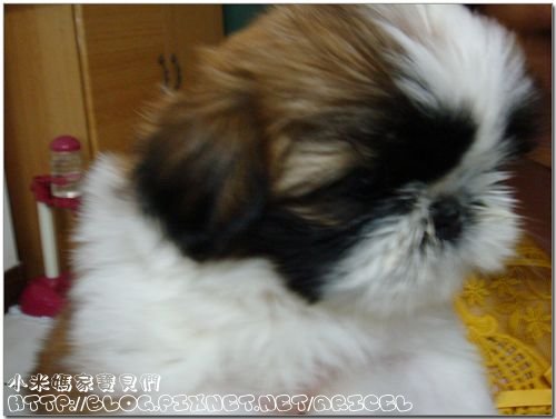 DSC05798.JPG