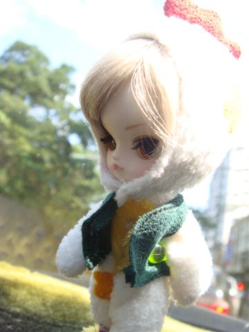 DSC07781.JPG