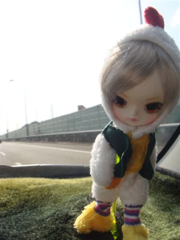 DSC07797.JPG