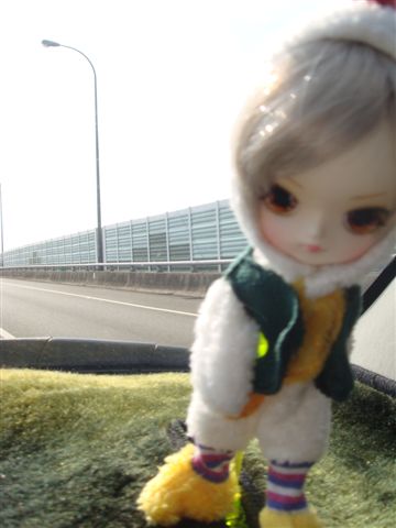 DSC07802.JPG
