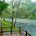 福山植物園_P14.JPG