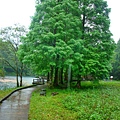 福山植物園_P17.JPG