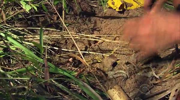 Survivor.S32E02.HDTV.x264-WRCR.mp4_20160225_154348.421.jpg Survivor.S32E02.HDTV.x264-WRCR.mp4_20160225_154348.421.jpg