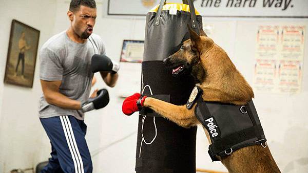 angie-tribeca.jpg angie-tribeca.jpg