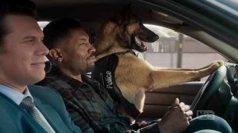 tumblr_o16ew4ntYH1s3vfuto2_1280-1453191531.png.jpg tumblr_o16ew4ntYH1s3vfuto2_1280-1453191531.png.jpg