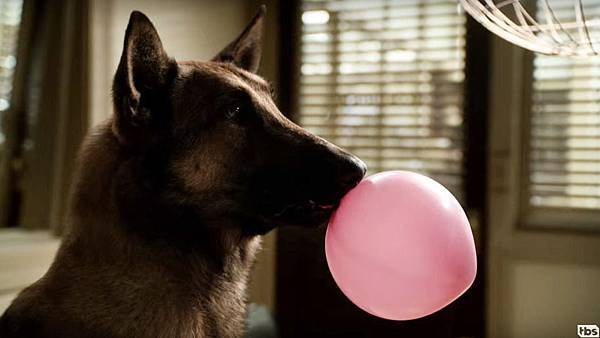 AngieTribeca.jpg AngieTribeca.jpg