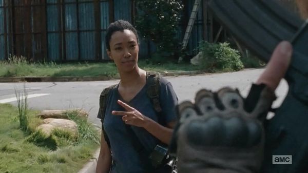 TWD001.jpg TWD001.jpg