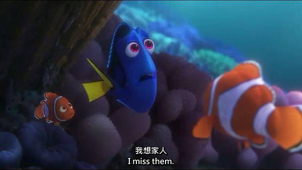 Exclusive! A Brand New ‘Finding Dory’ Trailer - YouTube-1_x264.mp4_20160304_003128.140.jpg Exclusive! A Brand New ‘Finding Dory’ Trailer - YouTube-1_x264.mp4_20160304_003128.140.jpg