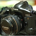 Canon EOS-1V HS+EF 50mm/f1.4