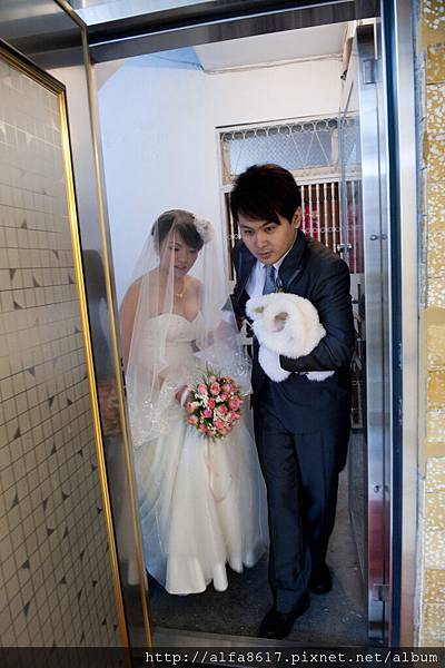 彼得兔婚禮攝影
