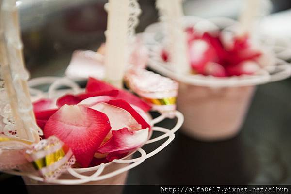 彼得兔婚禮攝影