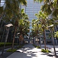 1000723-B001.jpg