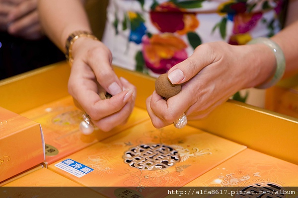 彼得兔婚宴攝影