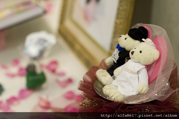 彼得兔婚宴攝影