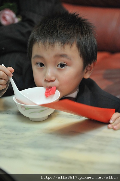 彼得兔婚宴攝影