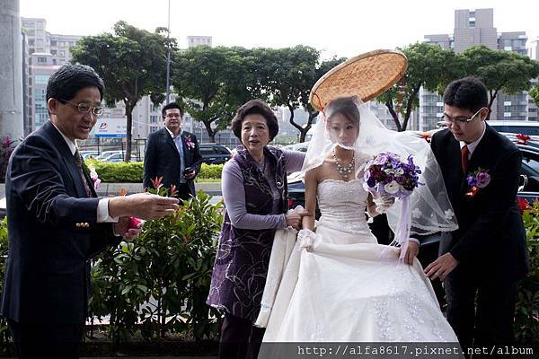 彼得兔婚禮攝影《大直典華》