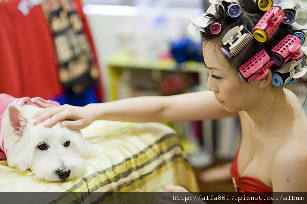 彼得兔婚宴攝影