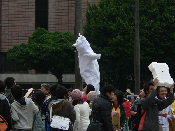 北極熊哭哭 北極熊哭哭