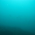IMG_4031.JPG