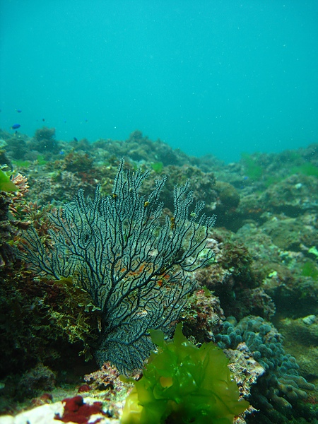 IMG_4457.JPG