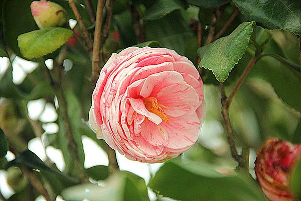 IMG_5737 IMG_5737