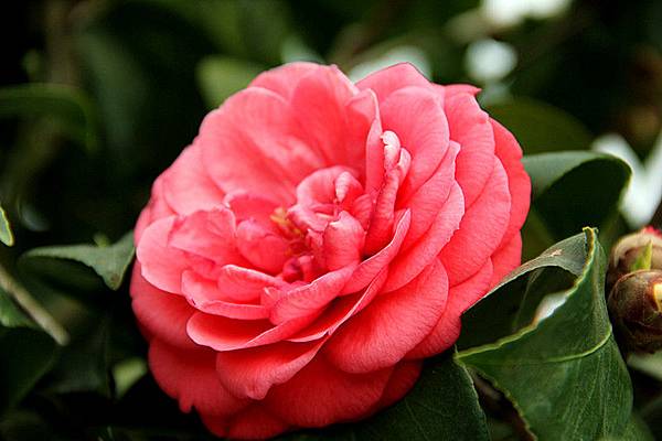 IMG_5747 IMG_5747