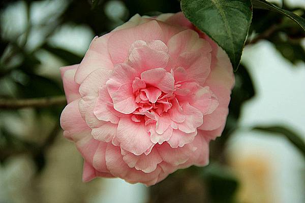IMG_5755 IMG_5755