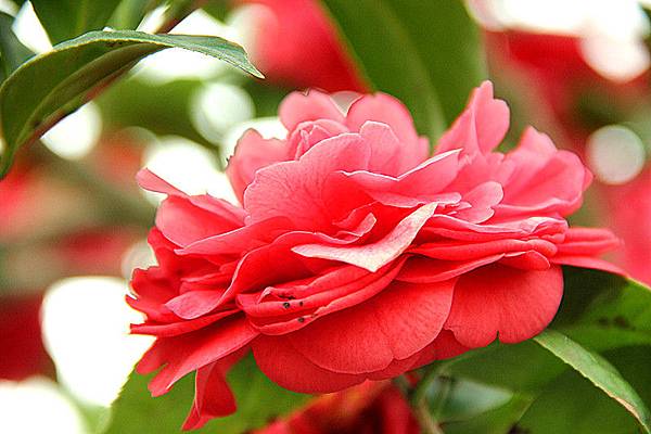IMG_5750 IMG_5750