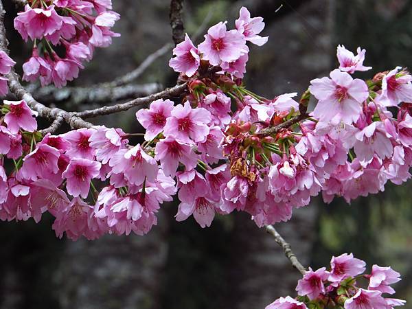 IMG_7538 IMG_7538