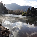 看到如此美景，讓我覺得即使住到黑心旅館，也是值得的