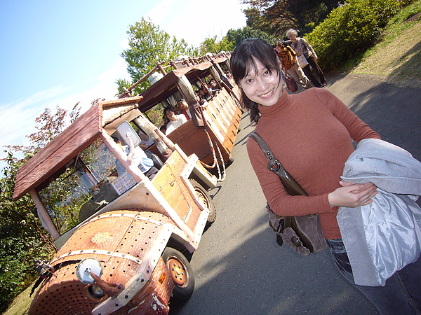 另一種造型的遊園車