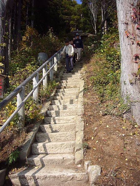前往半山觀景台的陡峭階梯