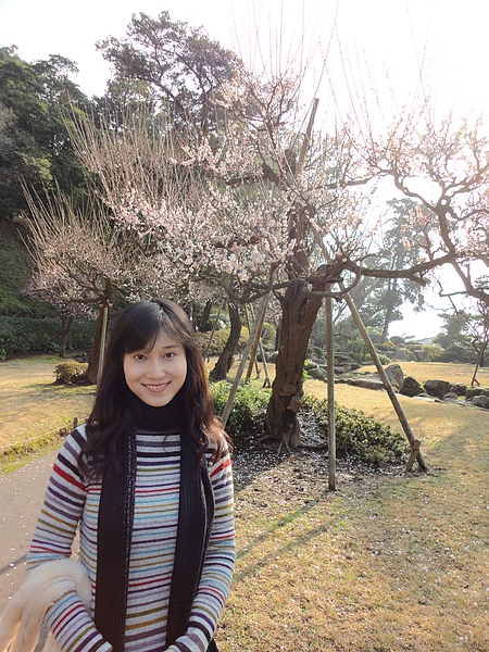 曲水の庭據說是參照中國的庭園建築，所以有微型的江南庭園風貌