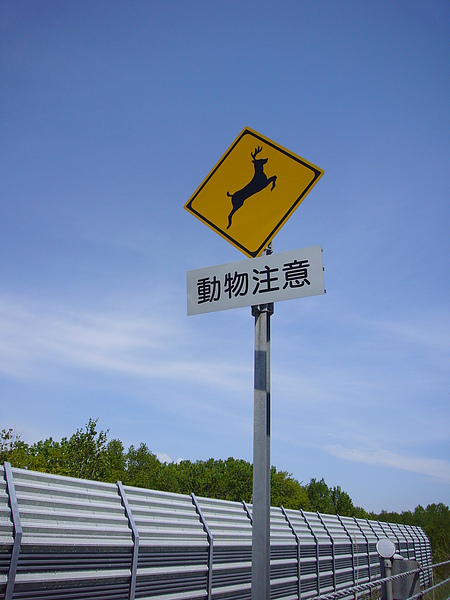 北海道的高速公路上隨時可能會有動物出沒，所以沿途立有注意警示牌