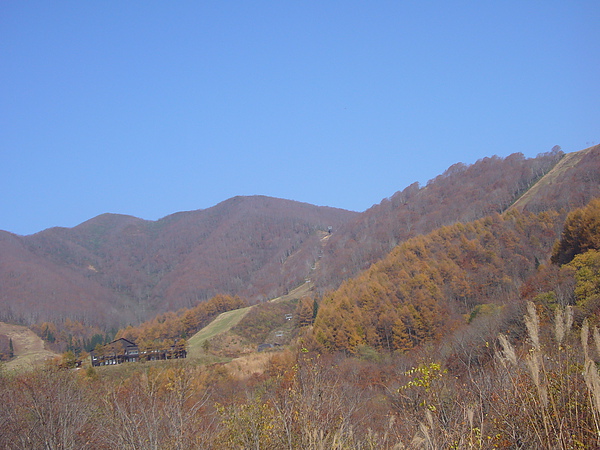 本來不想在這裡花費太多時間，可是看到這一片紅葉美景，我們又是不停的下車拍照