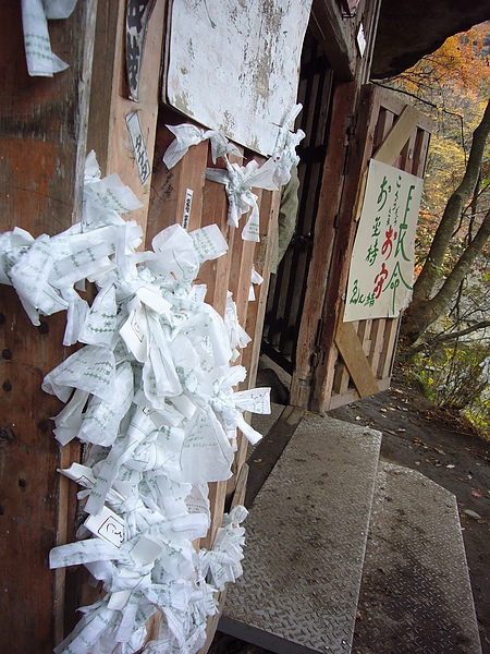 日本民眾把求來的籤紙都綁在門把上