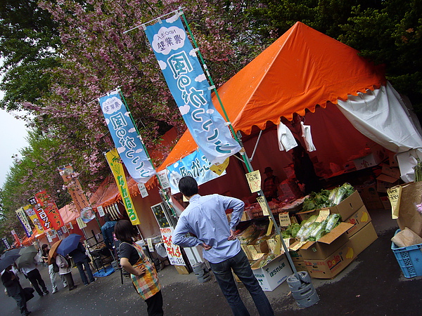 舊道廳內剛好有園遊會，非常熱鬧