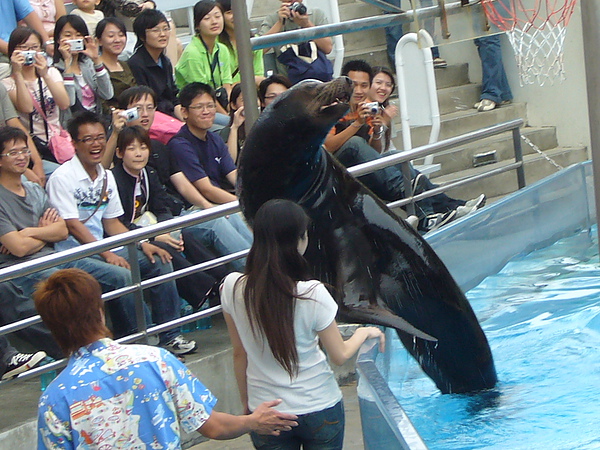 海獅跟女性遊客握手、親親，真是艷福不淺