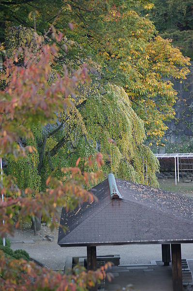 盛岡城跡公園環境優美，是岩手縣內著名的賞楓名所，只可惜我們造訪的時間不對，公園內只有部分紅葉稍稍轉紅，真是殘念