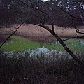 深泥沼是五色沼中顏色最為豐富的一個沼澤