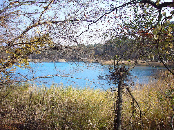 瑠璃沼也是五色沼的水源，可以說五色沼各種不可思議的顏色皆由瑠璃沼產生
