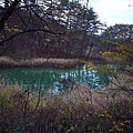 赤沼的湖色是漂亮的碧綠色，散佈在沼澤周圍紅咖啡色的苔裝飾著綠色的沼澤，非常特別